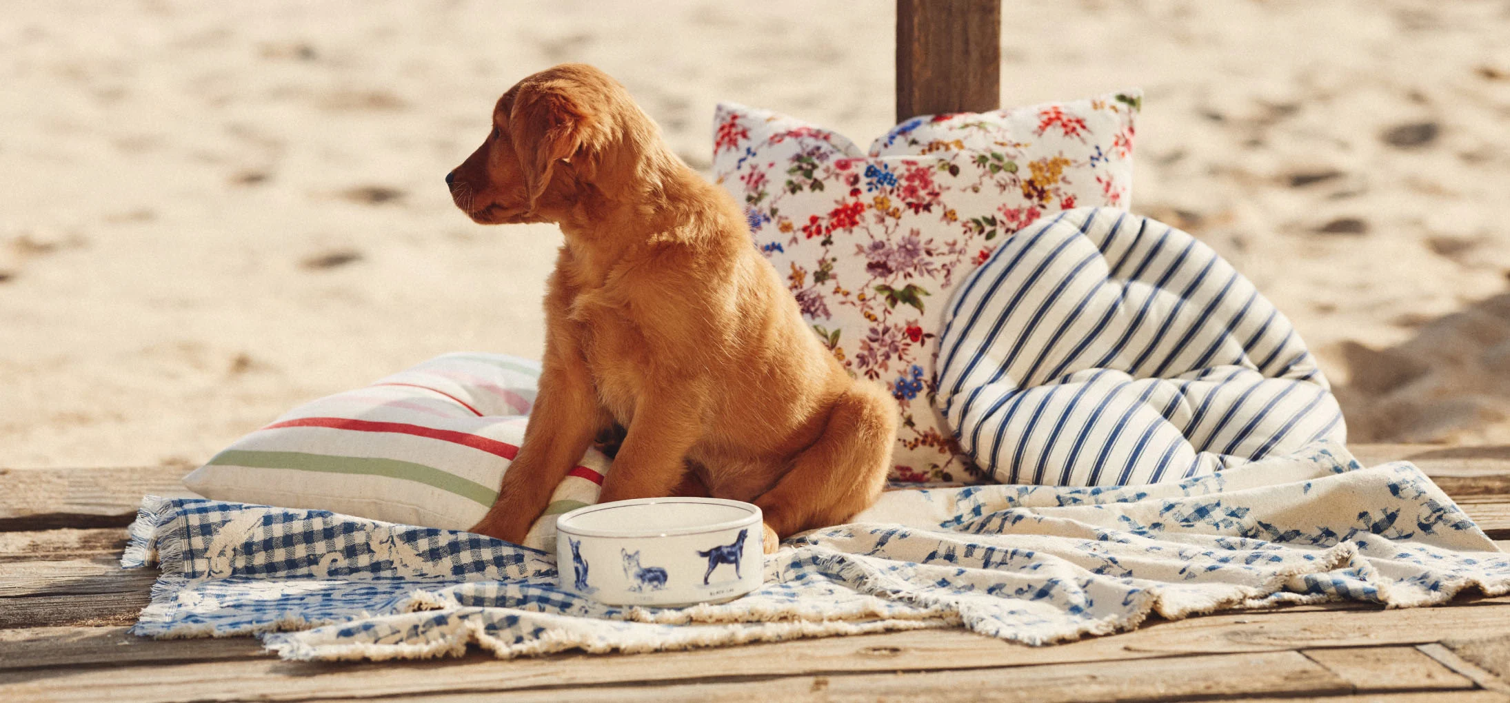 THE PLUSH SHOP Banner